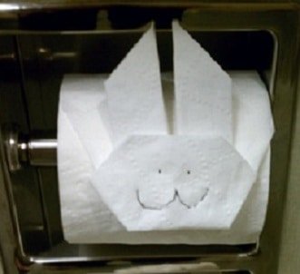 Random Acts of Toilet Paper